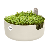 magic microgreens linen white